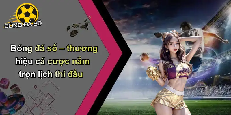 Lịch thi đấu