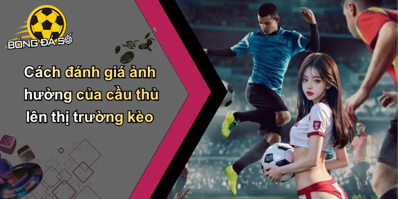 Top 5 Cầu Thủ Có Ảnh Hưởng Lớn Nhất