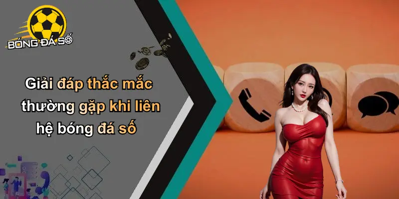 Liên Hệ