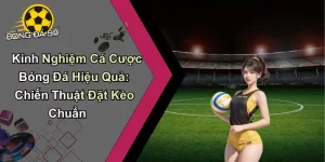 Kinh Nghiệm Cá Cược