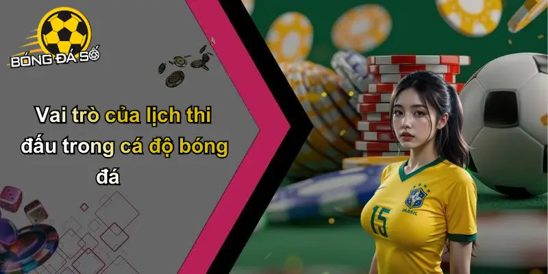 Lịch thi đấu