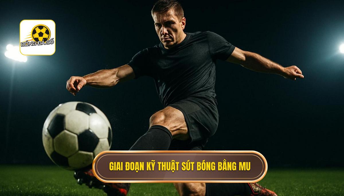 Các Giai Đoạn Hoàn Hảo Của Kỹ Thuật Sút Bóng Bằng Mu Bàn Chân