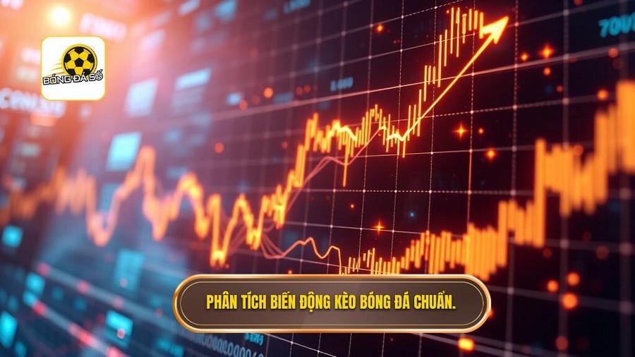 Phân tích biến động kèo bóng đá chuẩn.
