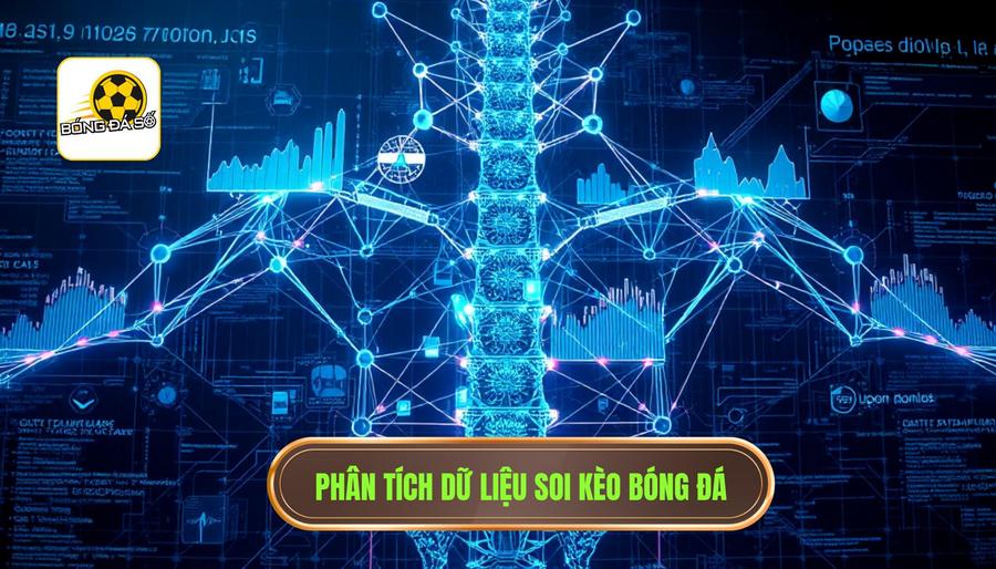 Phân tích dữ liệu - Xương sống của chiến thuật thắng kèo hiệu quả