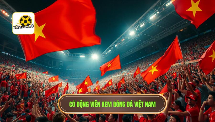 Cổ động viên xem bóng đá Việt Nam