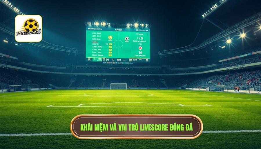 Khái niệm và vai trò Livescore bóng đá