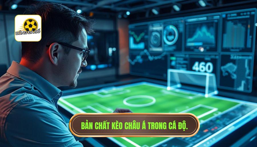 Bản chất kèo châu Á trong cá độ