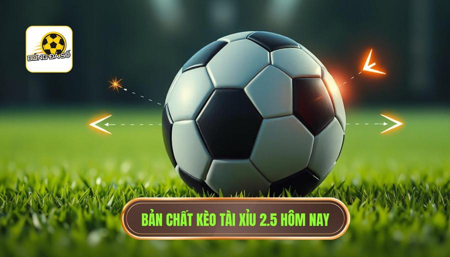Bản chất kèo tài xỉu 2.5 hôm nay
