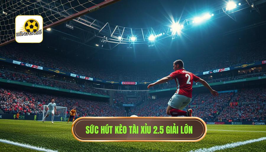Sức hút kèo tài xỉu 2.5 giải lớn